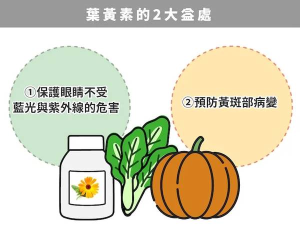 DHC光對策葉黃素 保健食品 眼睛保護 健康補給 蔬菜錠 